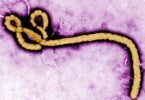 Cote d'Ivoire confirms first Ebola case in 25 years