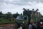 Giraffe translocation enhances tourism at Uganda wildlife reserve