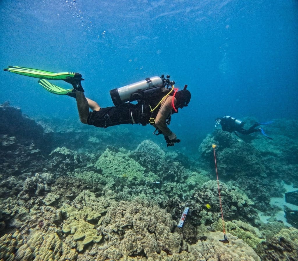 夏威夷商店 | eTurboNews | 电子网