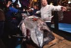 Japan’s ‘Tuna King’ splurges $1.8 million on ONE tuna fish