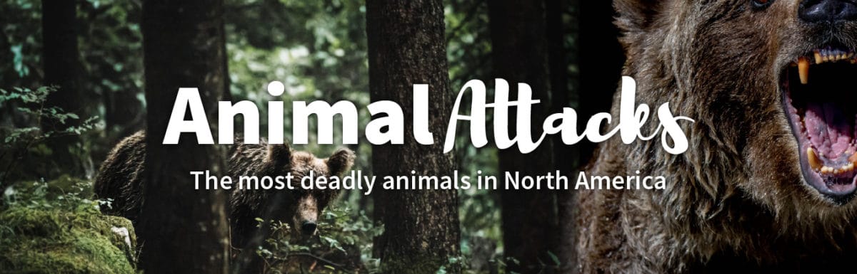 પ્રાણી હુમલો | eTurboNews | eTN