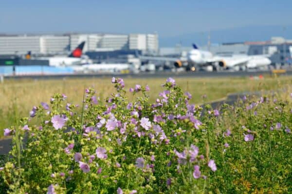 Fraport Tightens 2030 Carbon Target
