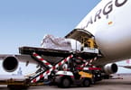 IATA: Demann Air Cargo Ralenti