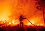 رئیس جزایر قناری: آتش سوزی عظیم تنریف کند می شود
