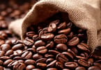 Этиоп улс жуулчны кофены хоригийг зогсоолоо