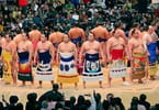 Japonské aerolinie se snaží získat další letadlo, aby mohli létat zápasníci sumo