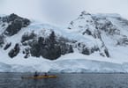 اورن ہاربر، انٹارکٹیکا میں کیکرز | تصویر: Lewnwdc77 بذریعہ ویکیپیڈیا