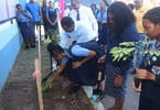 Penanaman pohon Jamaika - gambar milik Kementerian Pariwisata Jamaika