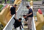 Java-glasbroen splintres og dræber turister