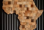 দক্ষিণ আফ্রিকার শৈল্পিক মানচিত্র | ছবি: ম্যাগদা এহলারস পেক্সেলের মাধ্যমে