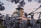 Temple Mitsutera d'Osaka