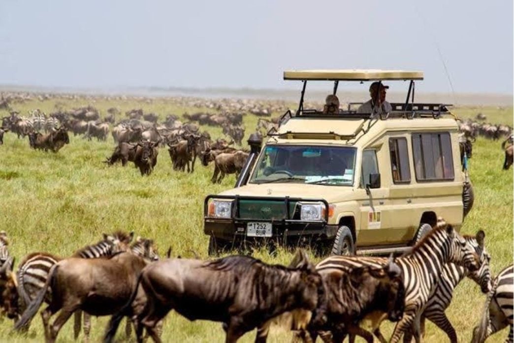 Africa Tourism Surges with 74 Million Visitors in 2024