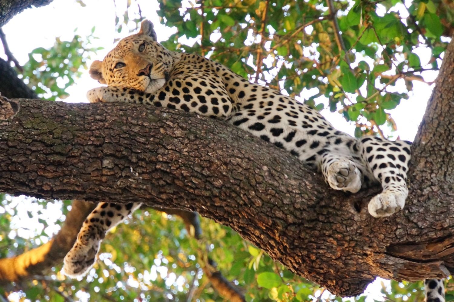 East African Community: Unified Tourism Destination at ITB Berlin