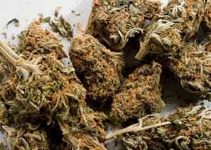Shari'ar marijuana na nishaɗi a Jamus daga Afrilu 1