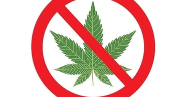 Fumer de la marijuana interdit dans les gares allemandes