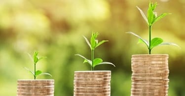 الأموال تنمو - الصورة مقدمة من ناتانان كانشانابرات من Pixabay
