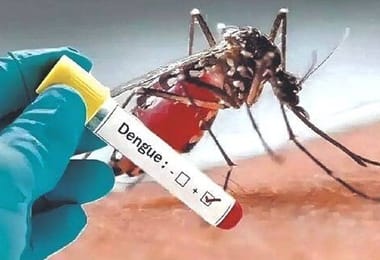 Dengue Kubuda Kunotyisidzira Kushanya muThailand