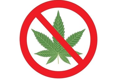 Prohibido fumar marihuana en las estaciones de ferrocarril alemanas