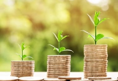 el dinero crece - imagen cortesía de Nattanan Kanchanaprat de Pixabay