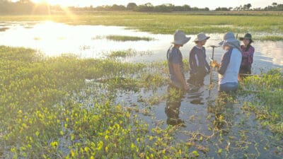 LATAM neitralizēs CO2 emisijas Latīņamerikas lidojumos