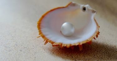 pearl - image courtesy of günter from Pixabay