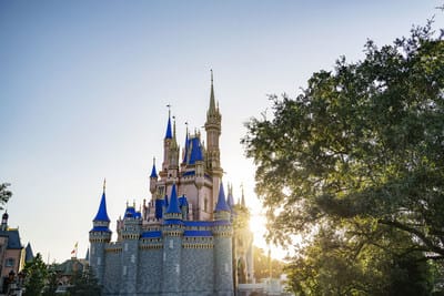 Walt Disney World Resort está aceptando visitantes por muchas razones