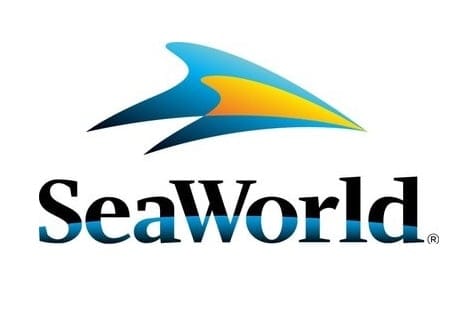 Hari Dolphin Kebangsaan di SeaWorld