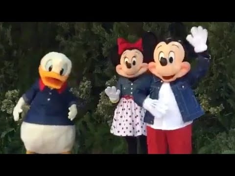 ディズニーワールドのキャラクターが手探りと怪我を報告