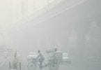 Toxic Smog Shuts Down New Delhi