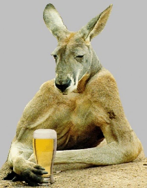 Cheers mate: Australia is world's new drunkest country