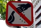 Tourists Beware: Feeding Birds Could Cost You $3000 in Singapore