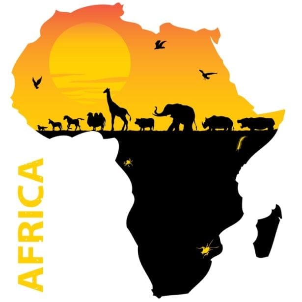 Hinimok ng internasyonal na pamayanan na suportahan ang African Travel at Turismo