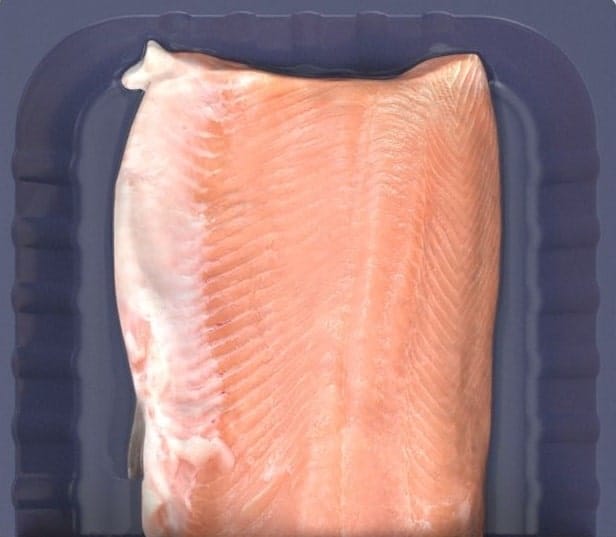 3D-biografsko natisnjene 'sveže' ribe pripravljene na police supermarketov