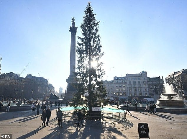 Norvegji: Nuk ka pemë të re të Krishtlindjes për sheshin Trafalgar të Londrës