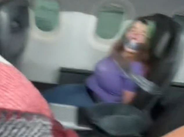 مسافر خطوط هوایی آمریكا سعی می كند در میانه پرواز را باز كند ، مهماندار هواپیما را گاز می گیرد و مجرا را به صندلی خود چسبانده است