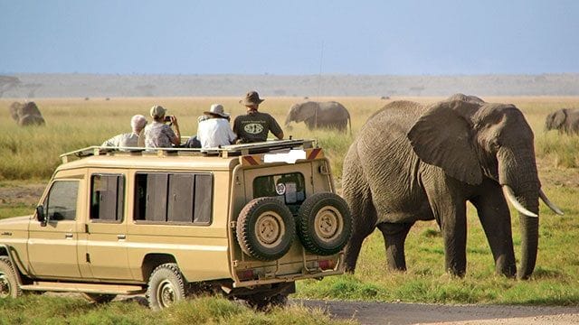 Tanzanijos laukinė gamta