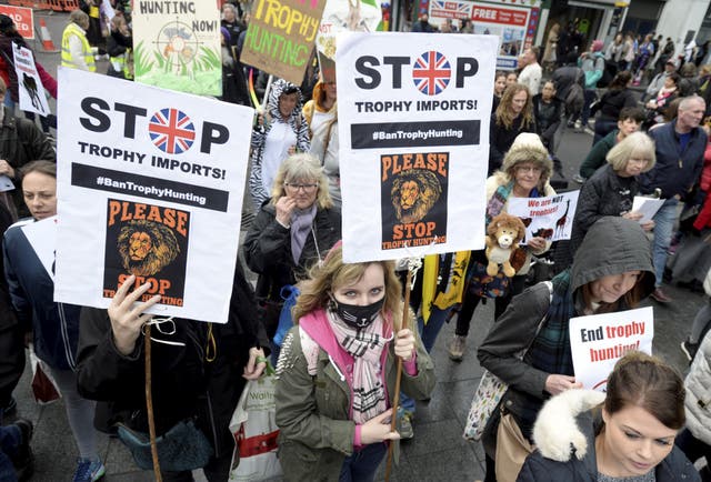 El Reino Unido implementa una prohibición completa de las importaciones de trofeos de caza