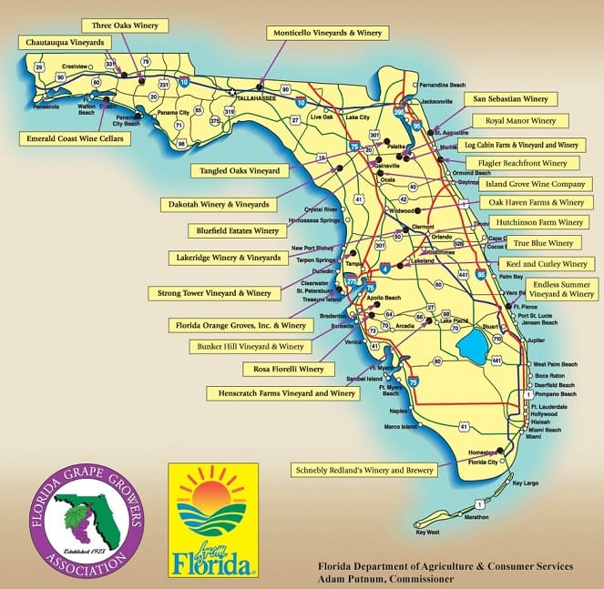 Florida.Vi_.1
