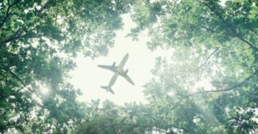 Travelers Willing to Pay Extra For Sustainable Travel