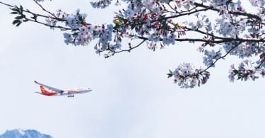 Hong Kong Airlines Direct Kagoshima Flights Resume