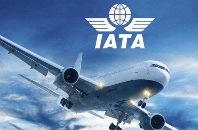 IATA: მოგზაურები, რომლებიც ნდობას იძენენ, დროა დაგეგმონ გადატვირთვისთვის