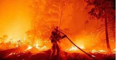 Canary Islands President: Massive Tenerife Wildfires Slow Down