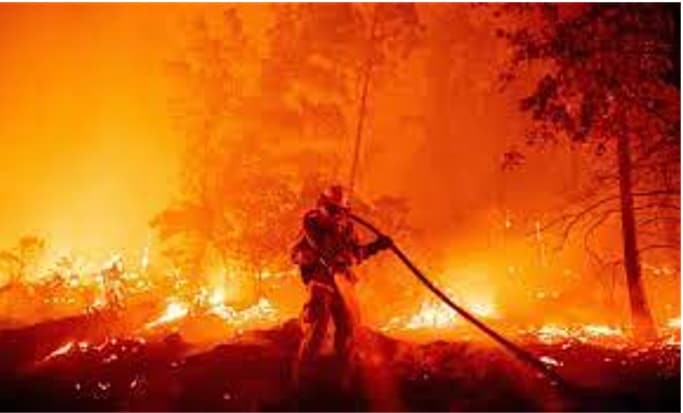 加那利群岛总统：特内里费岛大规模野火减缓