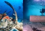 Underwater Malta: First Virtual Museum in the Mediterranean
