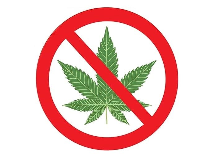 德国火车站禁止吸食大麻