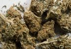 Рекреационная марихуана легальна в Германии с 1 апреля