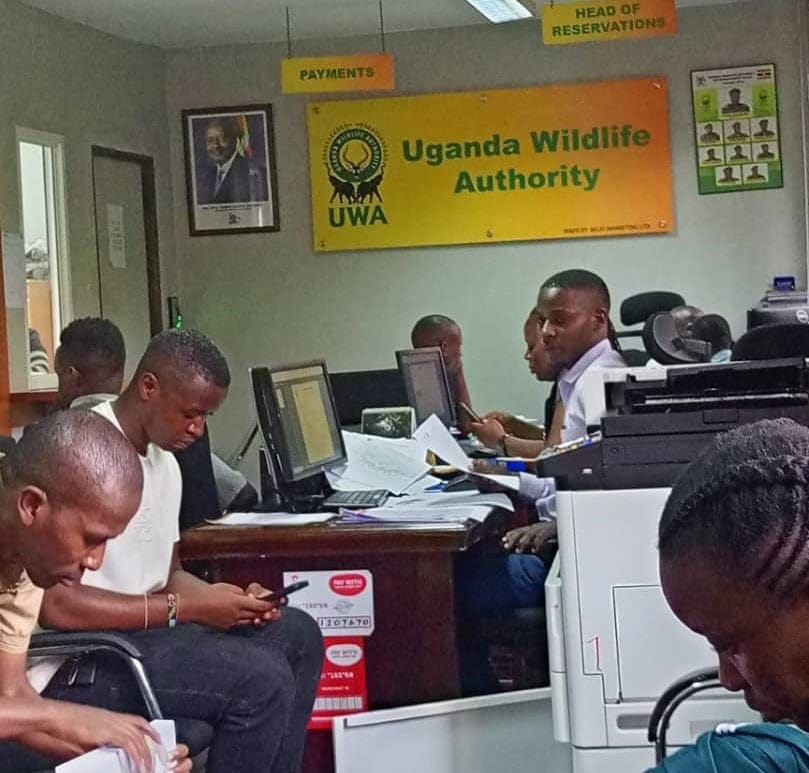 Uganda Wildlife Authority iwwerschafft Gorilla Tracking Tariffer