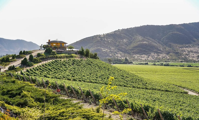 UNWTO konferensi pariwisata anggur merayakan transformasi pedesaan dan pekerjaan