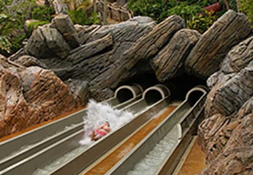 Walt Disney World-ს უჩივლა 50 ათასი დოლარის გამო Water Slide Wedgie-ზე