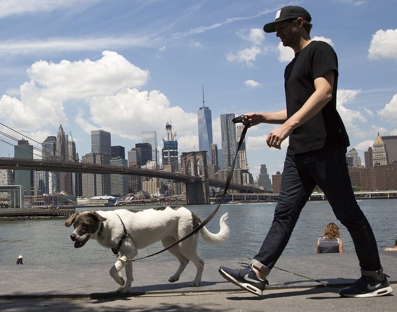 مدينة نيويورك في أفضل عشر مدن للمشي في العالم